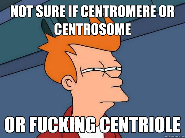 Not sure if centromere or centrosome or fucking centriole  Futurama Fry