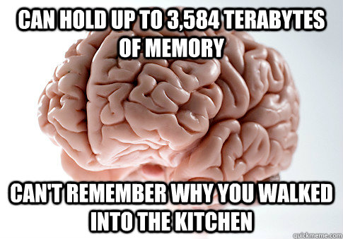 Can hold up to 3,584 terabytes of memory can't remember why you walked into the kitchen - Can hold up to 3,584 terabytes of memory can't remember why you walked into the kitchen  Scumbag Brain