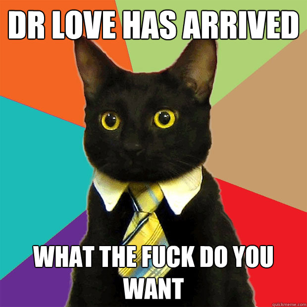 dr love has arrived what the fuck do you want  Business Cat