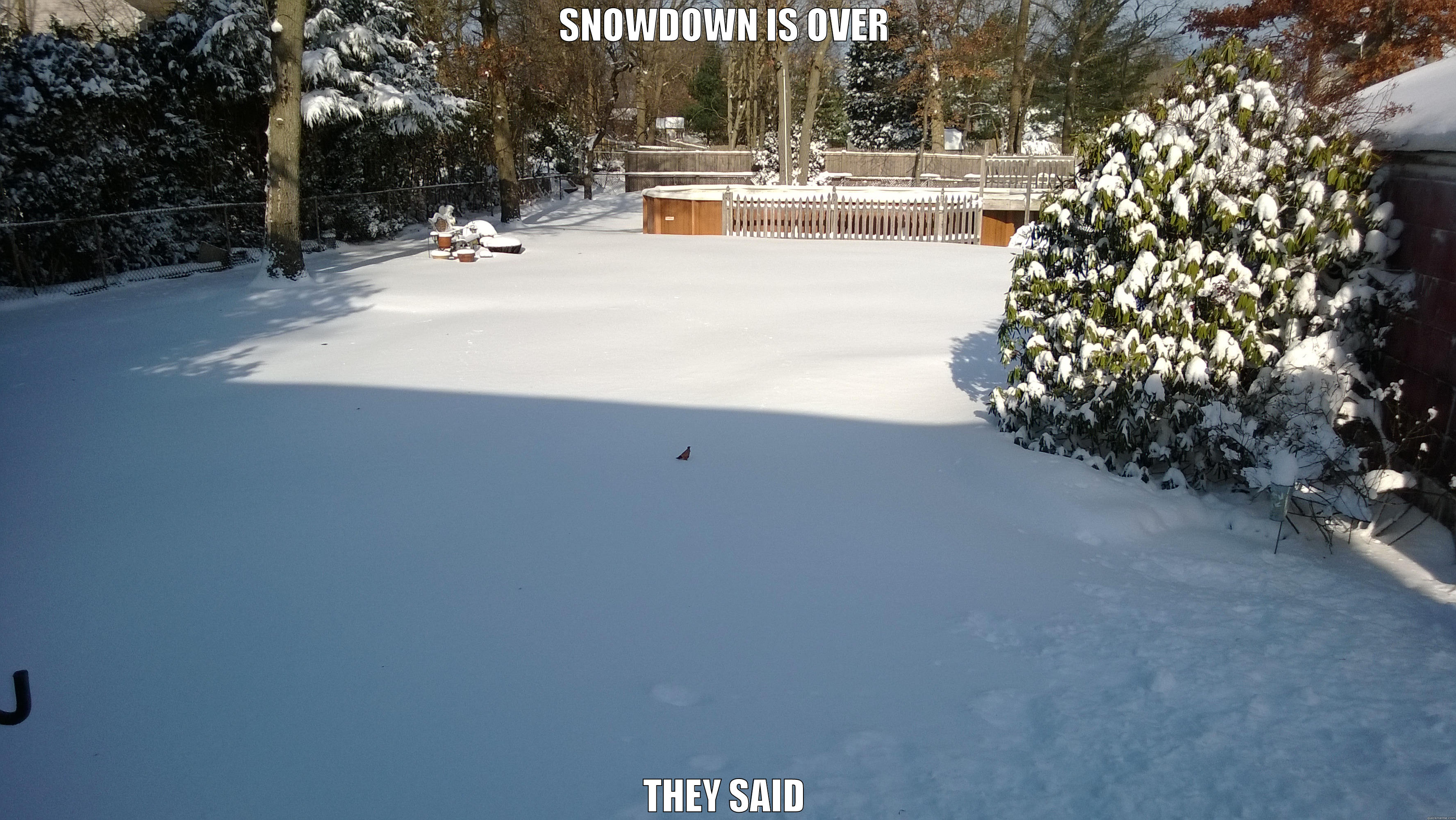 SNOWDOWN IS OVER THEY SAID Misc