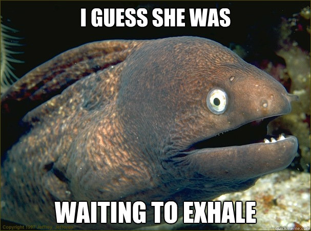 I guess she was  Waiting to exhale  Bad Joke Eel