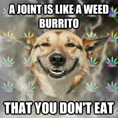 A joint is like a weed burrito that you don't eat  Stoner Dog