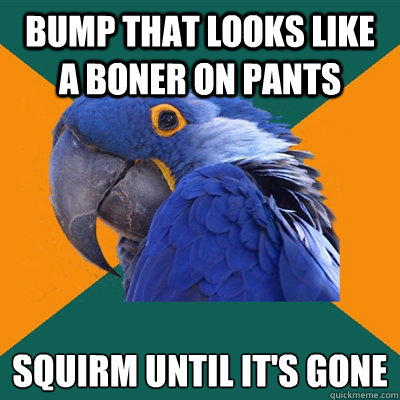 Bump that looks like a boner on pants Squirm until it's gone  Paranoid Parrot