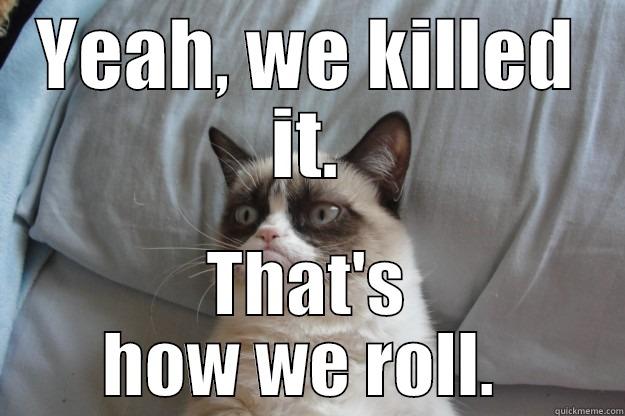 YEAH, WE KILLED IT. THAT'S HOW WE ROLL.  Grumpy Cat