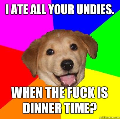 I ate all your undies. When the fuck is dinner time?  Advice Dog