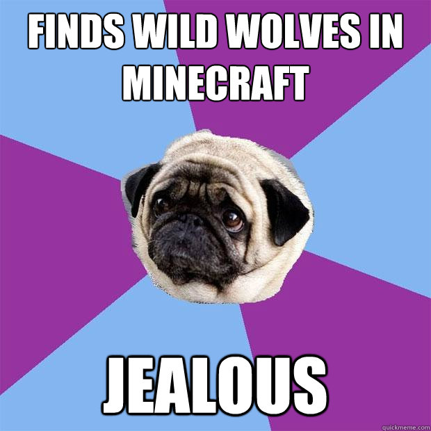 Finds Wild wolves in minecraft jealous - Finds Wild wolves in minecraft jealous  Lonely Pug