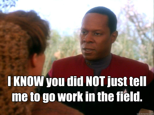 I KNOW you did NOT just tell me to go work in the field. - I KNOW you did NOT just tell me to go work in the field.  Sisko Paradise