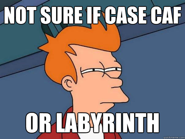 Not sure if Case Caf or labyrinth  Futurama Fry