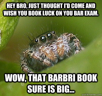 Hey bro, just thought I'd come and wish you book luck on you bar exam. Wow, that BarBri book sure is big...  Misunderstood Spider