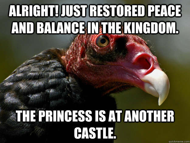 Alright! Just restored peace and balance in the kingdom.  The princess is at another castle.  - Alright! Just restored peace and balance in the kingdom.  The princess is at another castle.   Buzzkill Buzzard