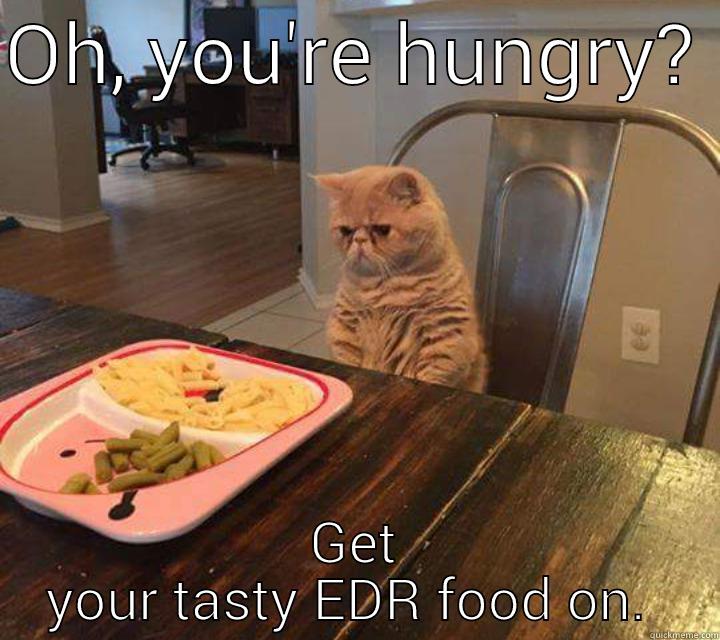 edr cat - OH, YOU'RE HUNGRY?  GET YOUR TASTY EDR FOOD ON.  Misc