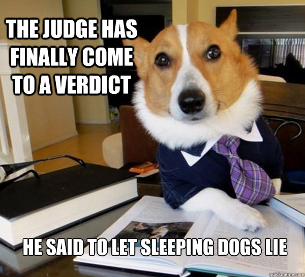 The judge has finally come to a verdict He said to let sleeping dogs lie   Lawyer Dog