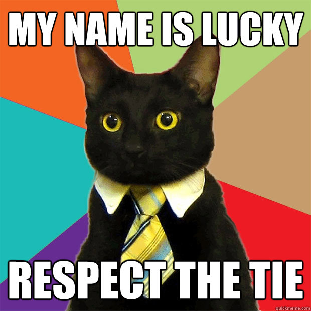 My name is lucky respect the tie  Business Cat