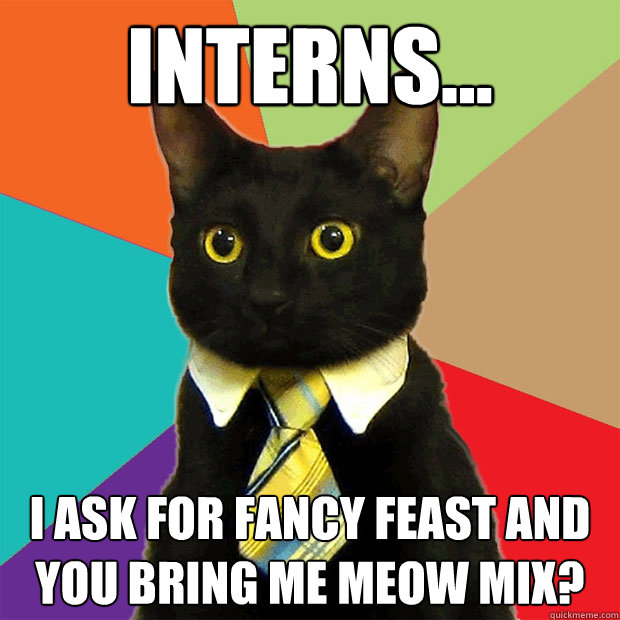 Interns... I ask for Fancy Feast and you bring me Meow Mix?  Business Cat