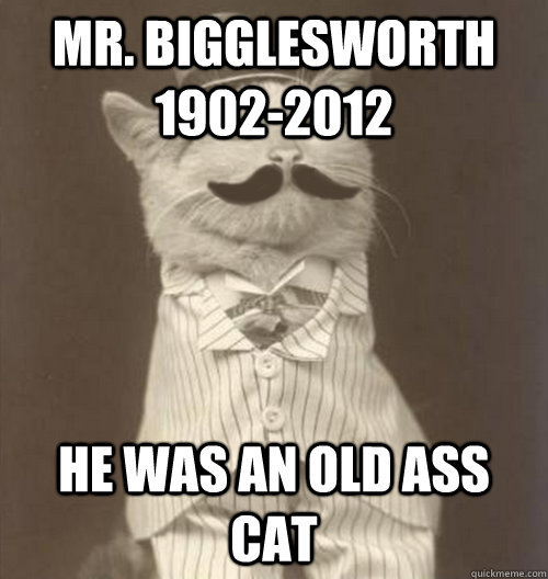 Mr. Bigglesworth 1902-2012 He was an old ass cat  Original Business Cat