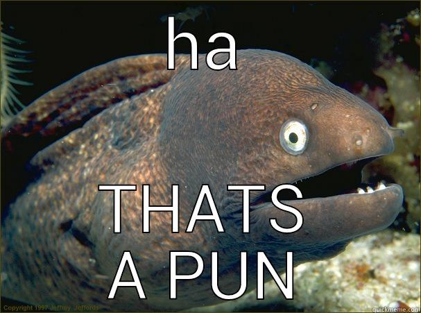 HA THATS A PUN Bad Joke Eel