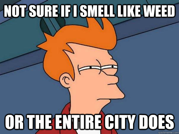 Not sure if I smell like weed Or the entire city does  Futurama Fry