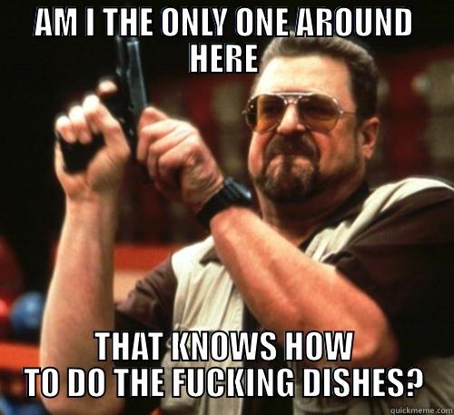 AM I THE ONLY ONE AROUND HERE THAT KNOWS HOW TO DO THE FUCKING DISHES? Am I The Only One Around Here