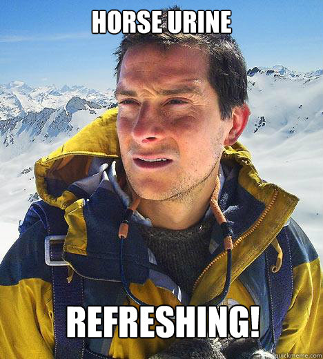 Horse urine Refreshing!  Bear Grylls