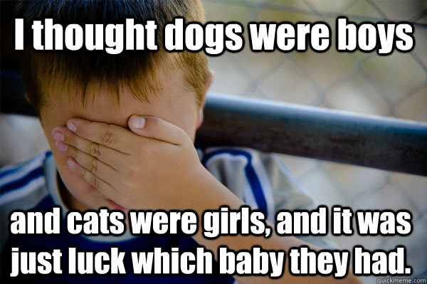 I thought dogs were boys and cats were girls, and it was just luck which baby they had.  Confession kid