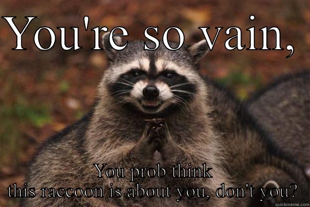 YOU'RE SO VAIN,  YOU PROB THINK THIS RACCOON IS ABOUT YOU, DON'T YOU? Evil Plotting Raccoon