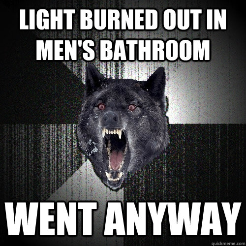 Light burned out in men's bathroom Went Anyway  Insanity Wolf