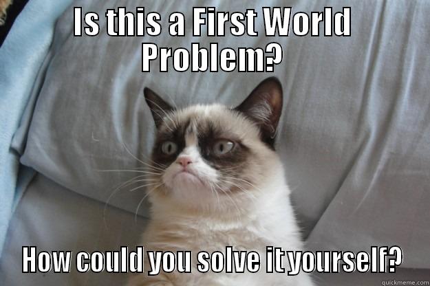 IS THIS A FIRST WORLD PROBLEM? HOW COULD YOU SOLVE IT YOURSELF? Grumpy Cat