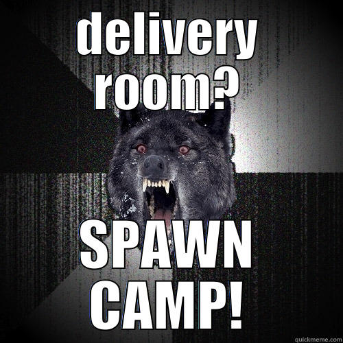 DELIVERY ROOM? SPAWN CAMP! Insanity Wolf