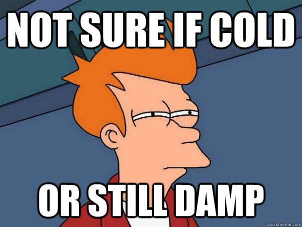 Not sure if cold  or still damp  Futurama Fry