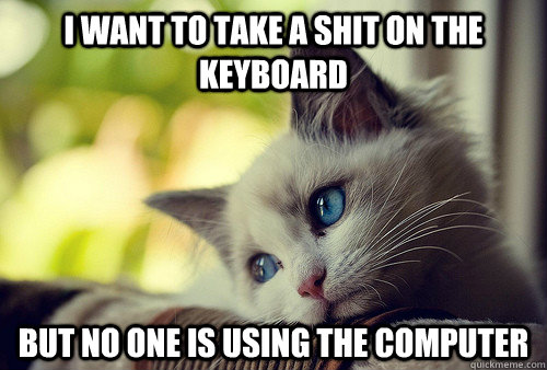 I want to take a shit on the keyboard but no one is using the computer  First World Problems Cat