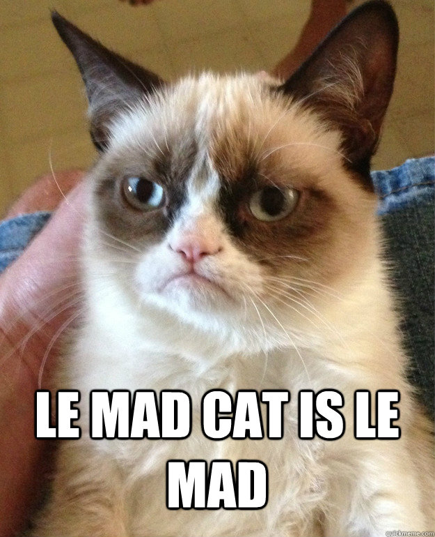  Le mad cat is le mad  Grumpy Cat