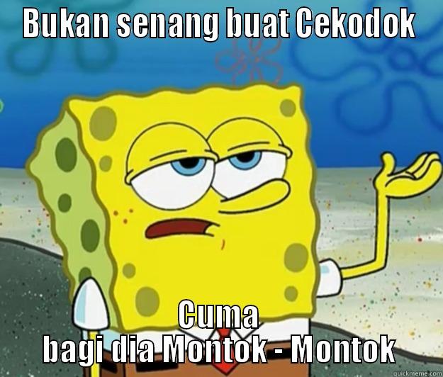 Spongebob Weird - BUKAN SENANG BUAT CEKODOK CUMA BAGI DIA MONTOK - MONTOK Tough Spongebob