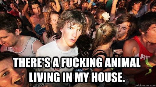  There's a fucking animal living in my house.  Sudden Clarity Clarence