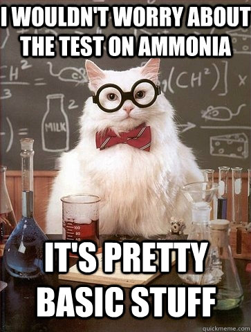 I wouldn't worry about the test on ammonia It's pretty basic stuff - I wouldn't worry about the test on ammonia It's pretty basic stuff  Chemistry Cat