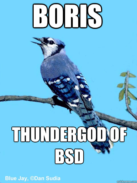 boris thundergod of bsd  Blue Team Bird