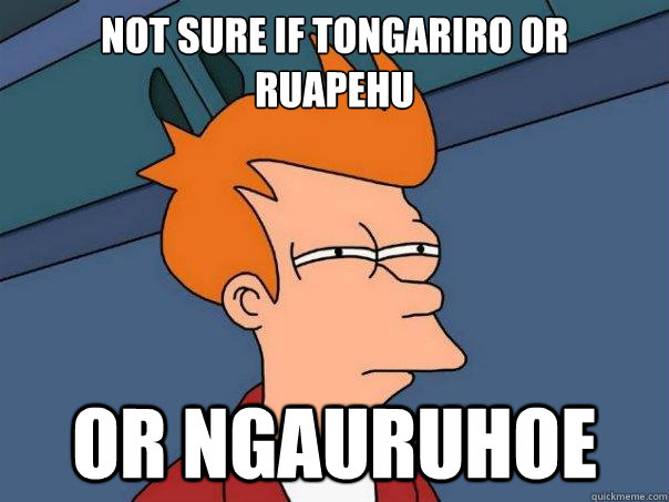 Not sure if Tongariro or  Ruapehu Or Ngauruhoe  Futurama Fry