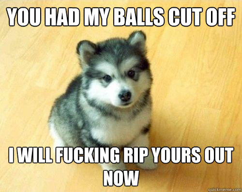 You had my balls cut off i will fucking rip yours out now  Baby Courage Wolf