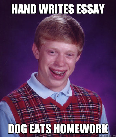 Hand writes essay Dog eats homework - Hand writes essay Dog eats homework  Bad Luck Brian