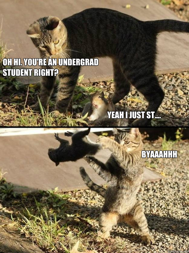 OH hi. you're an undergrad student right? yeah i just st.... BYAAAHHH - OH hi. you're an undergrad student right? yeah i just st.... BYAAAHHH  Annoying Squirrel