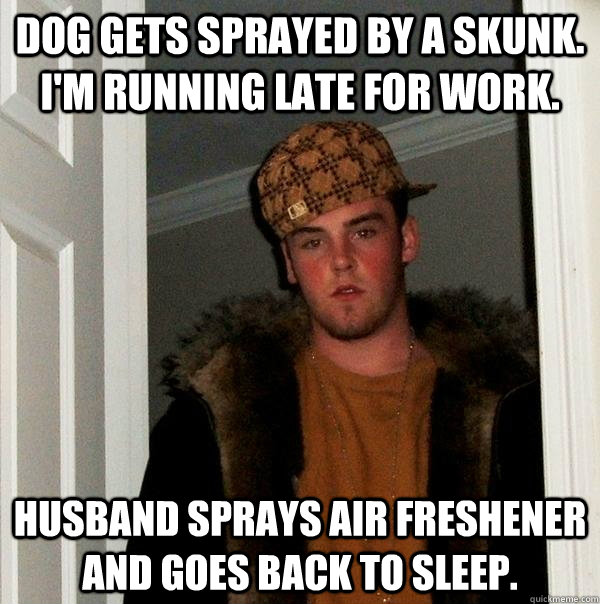 Dog gets sprayed by a skunk. I'm running late for work. Husband sprays air freshener and goes back to sleep.  Scumbag Steve
