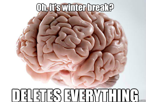 Oh, it's winter break? DELETES EVERYTHING - Oh, it's winter break? DELETES EVERYTHING  Scumbag Brain