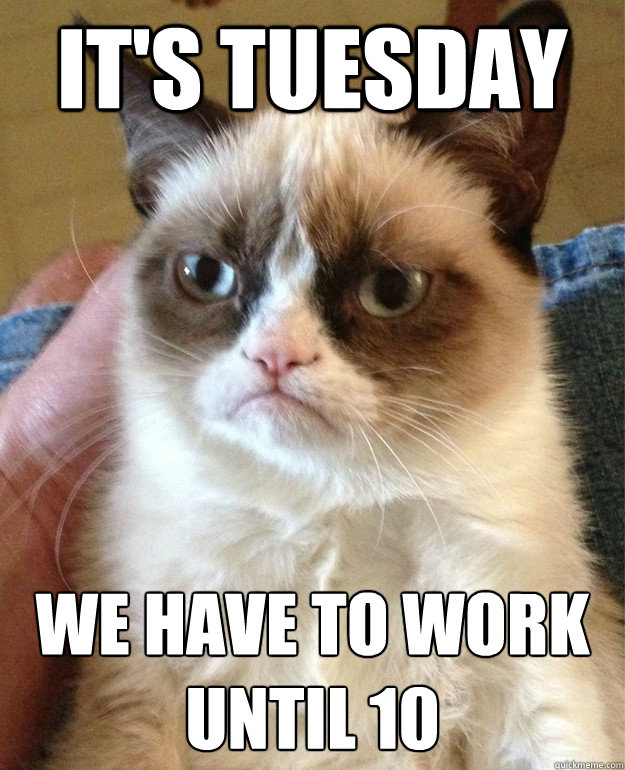 it's tuesday we have to work until 10  Grumpy Cat