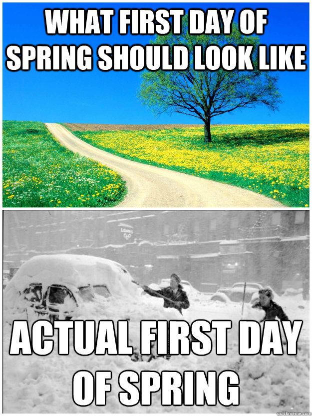 WHAT FIRST DAY OF SPRING SHOULD LOOK LIKE ACTUAL FIRST DAY OF SPRING
 - WHAT FIRST DAY OF SPRING SHOULD LOOK LIKE ACTUAL FIRST DAY OF SPRING
  Misc