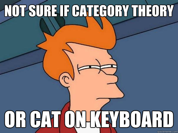 not sure if category theory or cat on keyboard  Futurama Fry