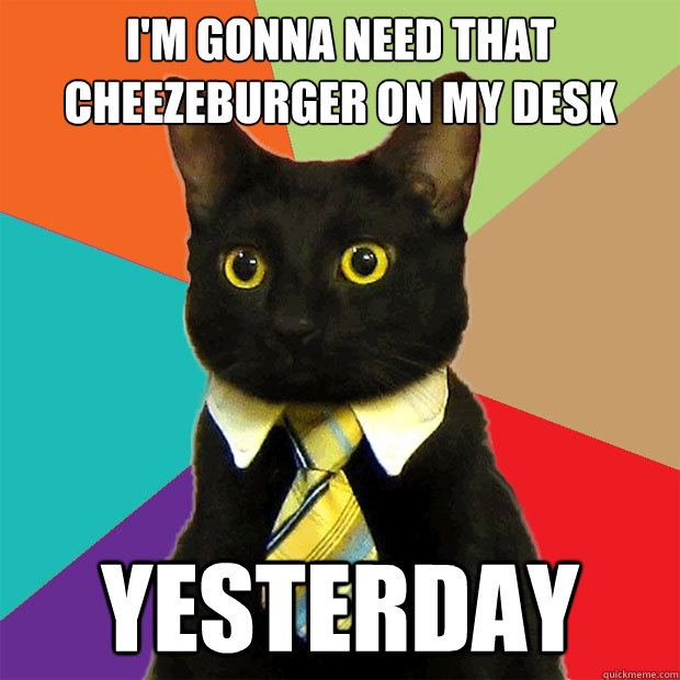 I'm gonna need that cheezeburger on my desk YESTERDAY  Business Cat