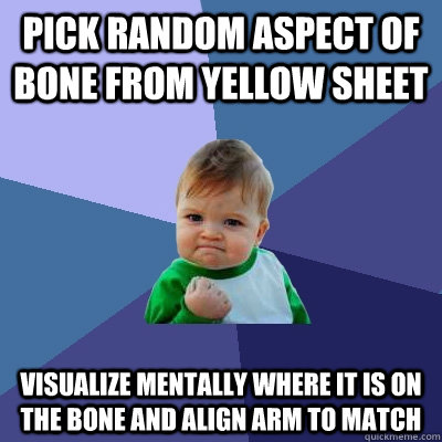 Pick random aspect of bone from yellow sheet Visualize mentally where it is on the bone and align arm to match - Pick random aspect of bone from yellow sheet Visualize mentally where it is on the bone and align arm to match  Success Kid