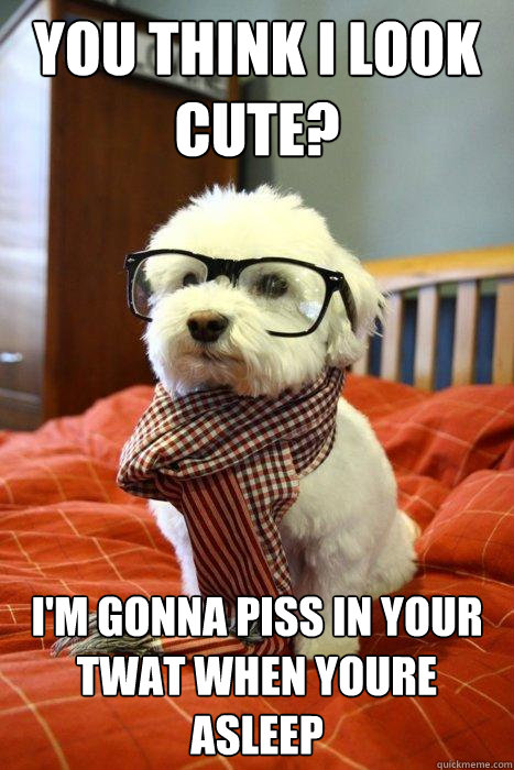 You think i look cute? I'm gonna piss in your twat when youre asleep
  Hipster Dog