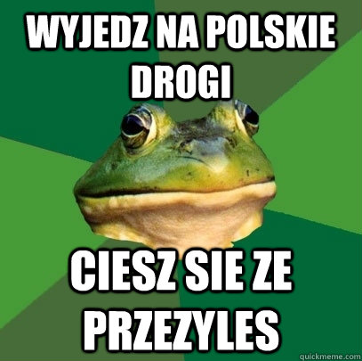 wyjedz na polskie drogi ciesz sie ze przezyles - wyjedz na polskie drogi ciesz sie ze przezyles  Foul Bachelor Frog