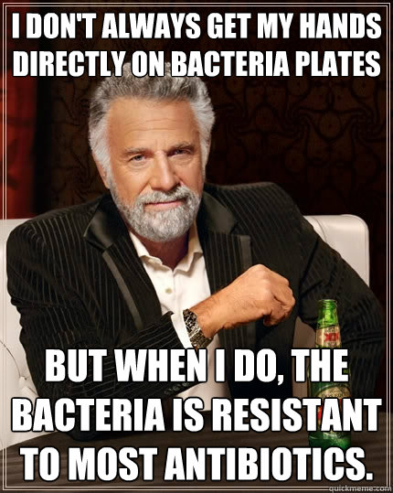 I don't always get my hands directly on bacteria plates but when I do, the bacteria is resistant to most antibiotics.   The Most Interesting Man In The World