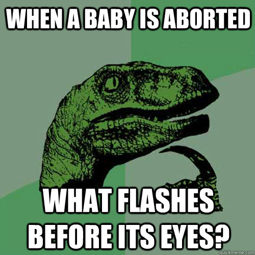 when a baby is aborted  what flashes before its eyes? - when a baby is aborted  what flashes before its eyes?  Philosoraptor